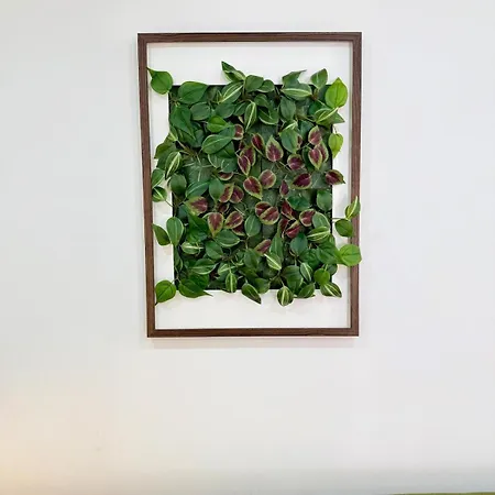 Paraiso Secreto 公寓 *