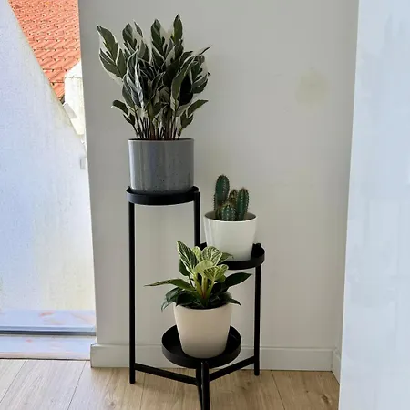 Apartmán Paraiso Secreto