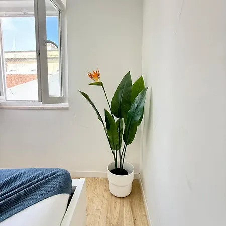 Paraiso Secreto Apartament